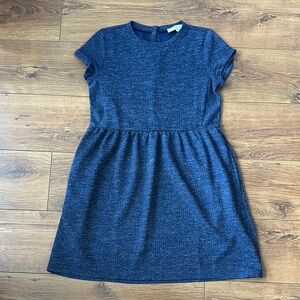 Loft Blue Dress